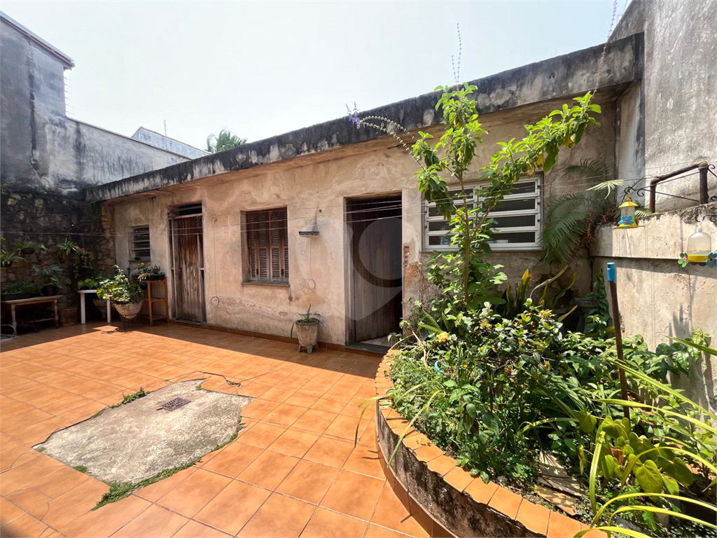 Casa antiga - Palmas do Tremembe