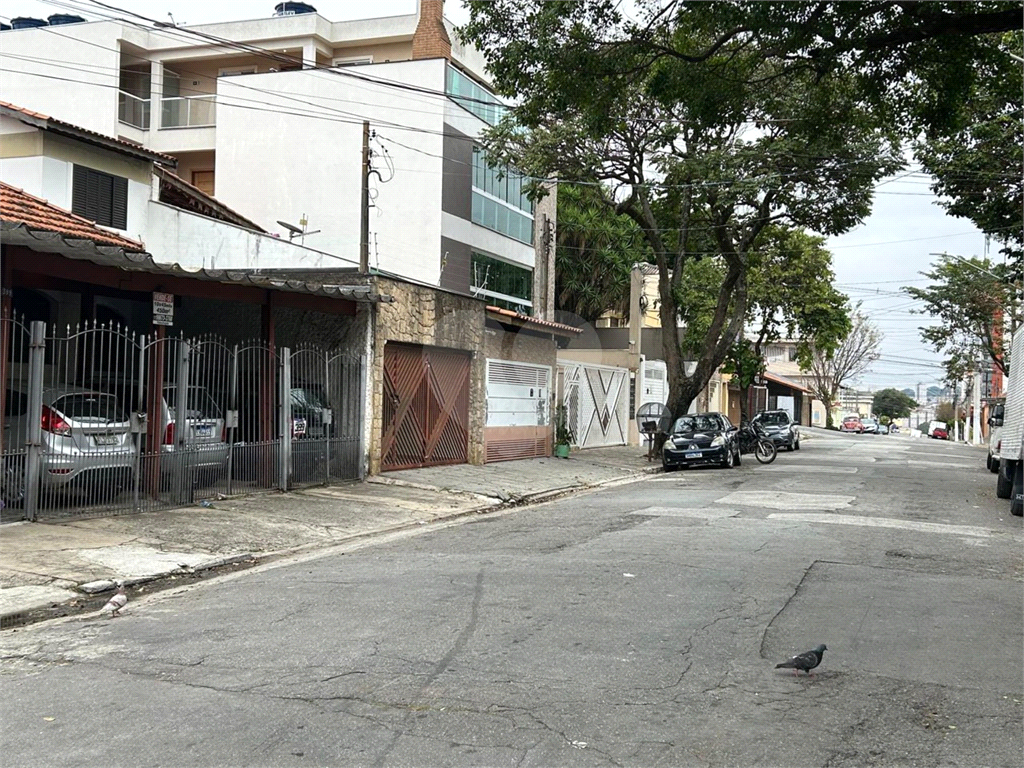 TERRENO em VILA MATILDE