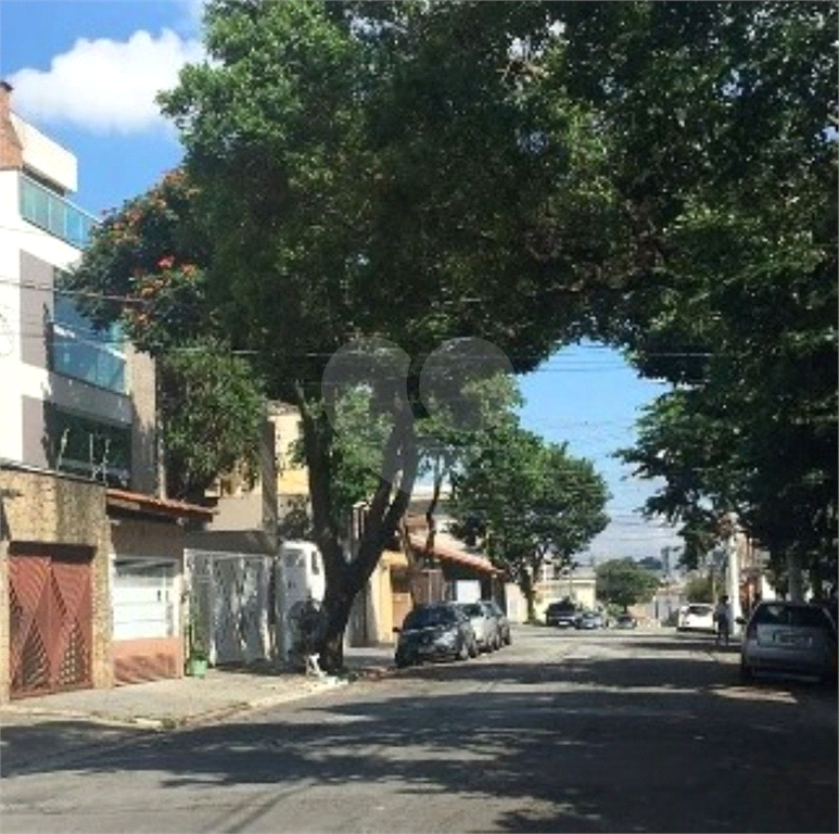 TERRENO em VILA MATILDE