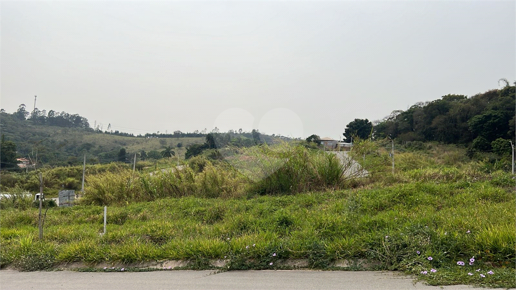 Terreno à venda, 250m² - Foto 2