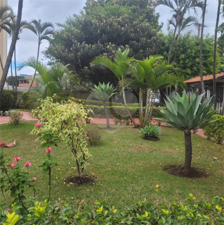 APARTAMENTO em JARDIM CUMBICA