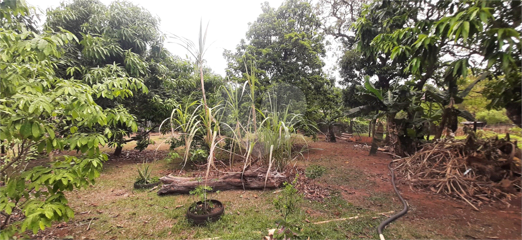 Fazenda à venda com 4 quartos, 550m² - Foto 2