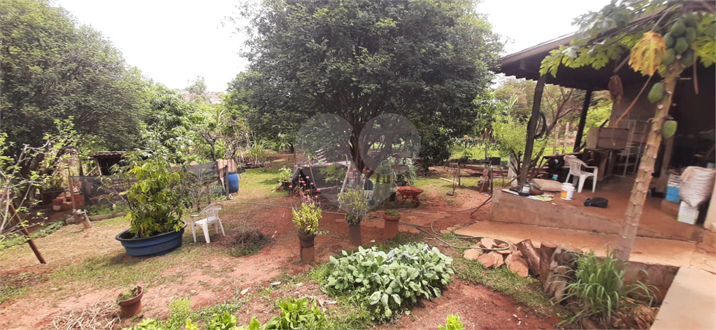 Fazenda à venda com 4 quartos, 550m² - Foto 5