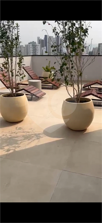 Apartamento na Vila Paulicéia