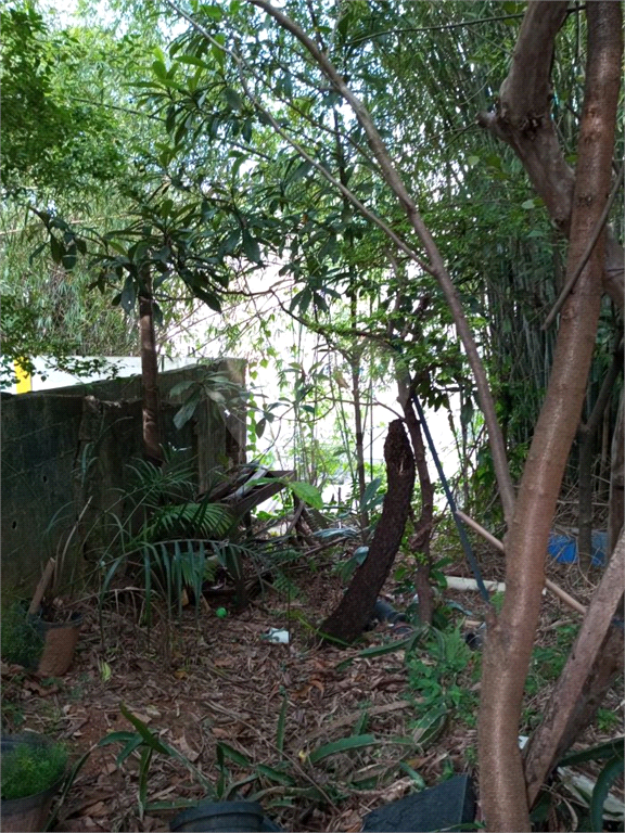 Casa térrea 3 quartos  sala cozinha 4 vagas no Mandaqui