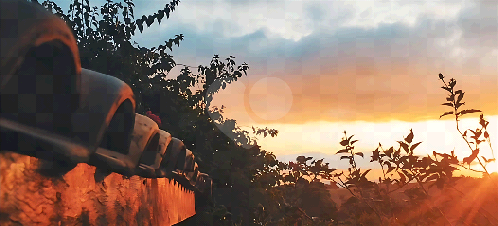 Chácara, 3 quartos, 1000 m² - Foto 9