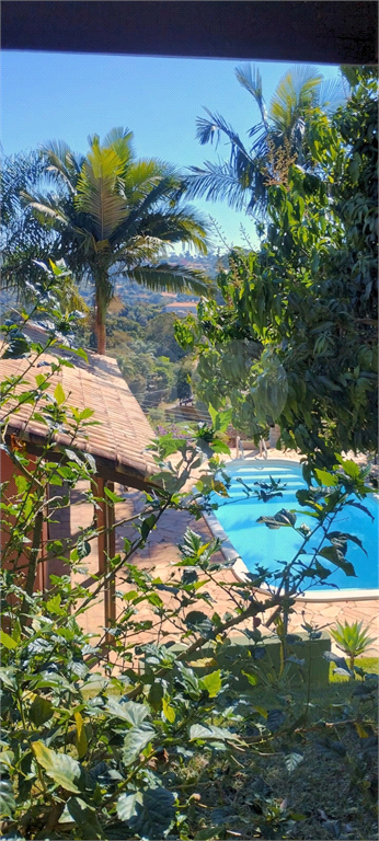 Chácara, 3 quartos, 1000 m² - Foto 13