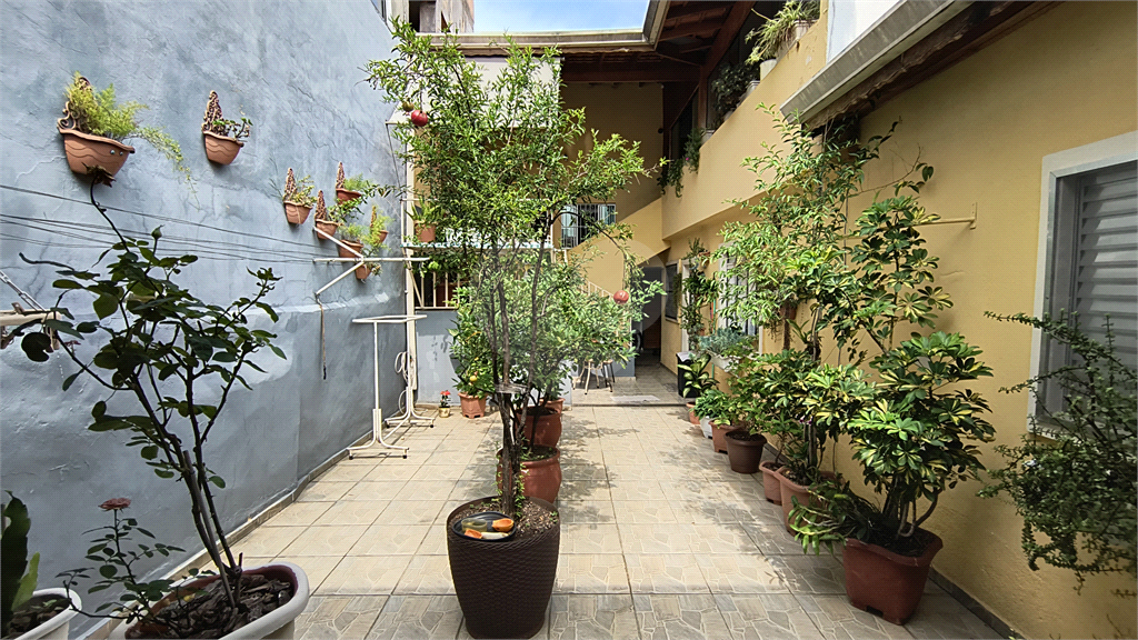 CASA em CASA VERDE