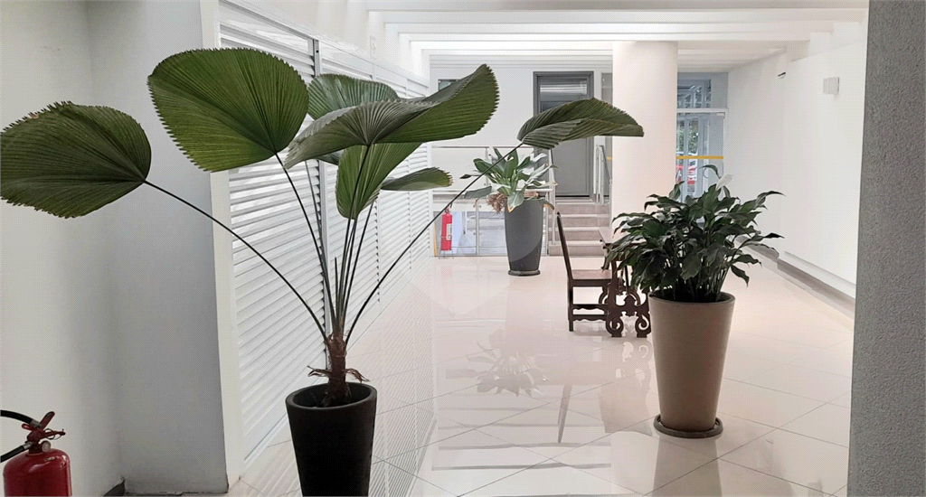 Apartamento nos jardins com dependências amplas 