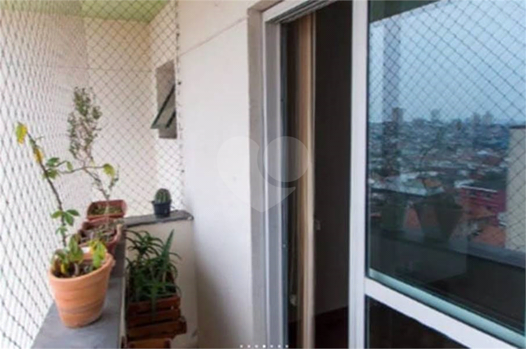 Apartamento 2 Dormitórios, Suíte, Vaga. Vila Medeiros. Aceita pet.