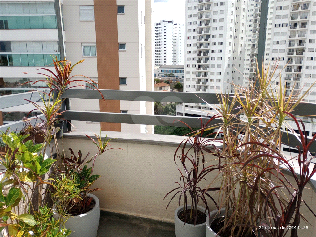 Apartamento 3 dormitorios 2 vagas sacada