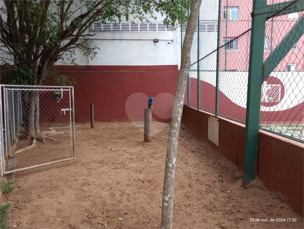 Apartamento 3 dormitorios 2 vagas sacada