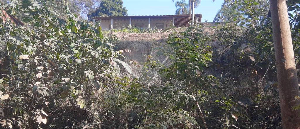 Chácara à venda com 3 quartos, 1700m² - Foto 5