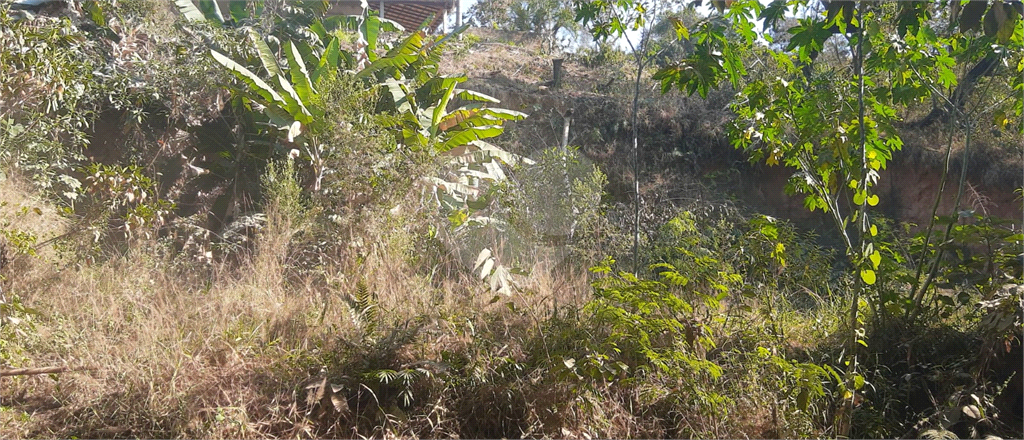 Chácara à venda com 3 quartos, 1700m² - Foto 4
