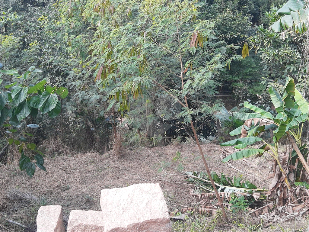 Chácara à venda com 3 quartos, 1700m² - Foto 14