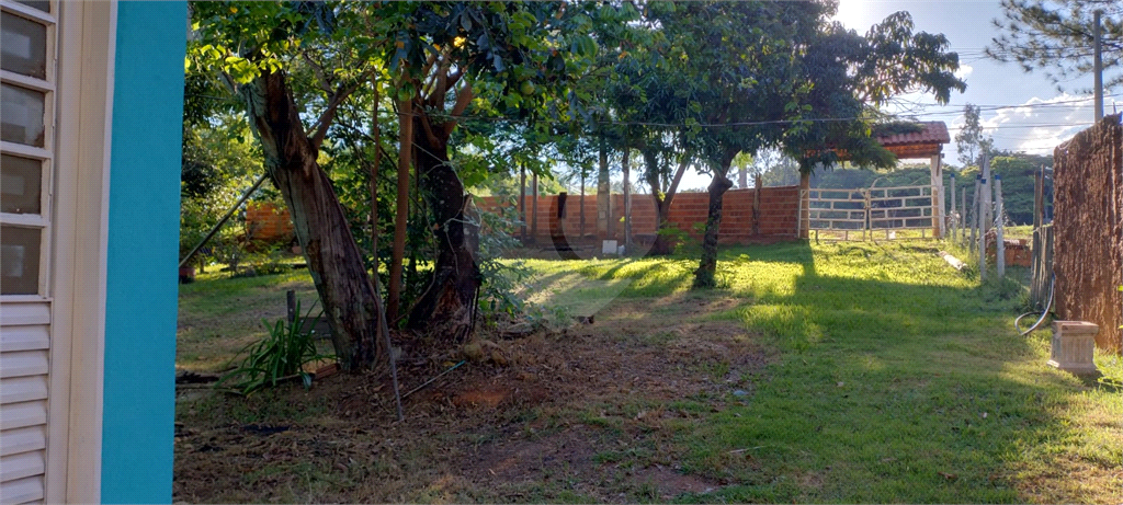 Fazenda à venda com 3 quartos, 60m² - Foto 3