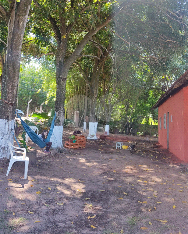 Fazenda à venda com 3 quartos, 60m² - Foto 13