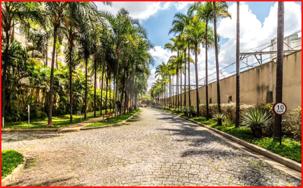 APARTAMENTO em LAPA