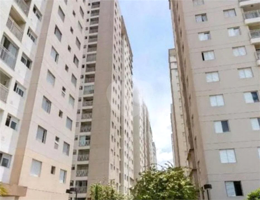 Apartamento de 3 quartos na Ponte Grande 