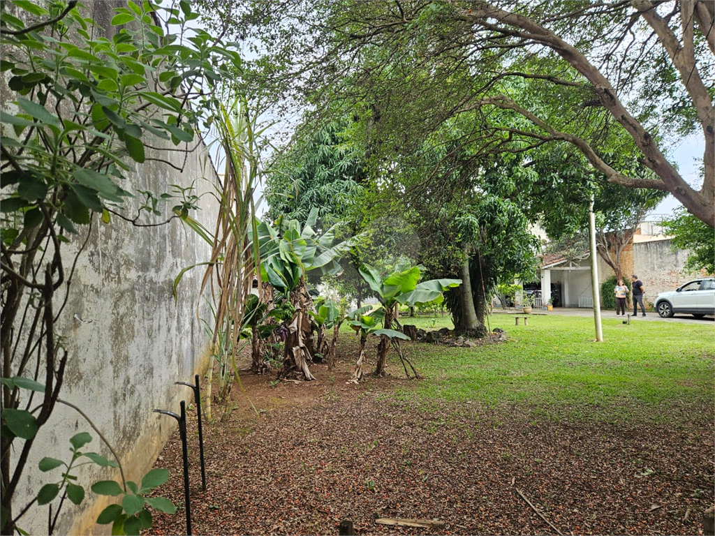 Terreno à venda e aluguel com 2 quartos, 242m² - Foto 14