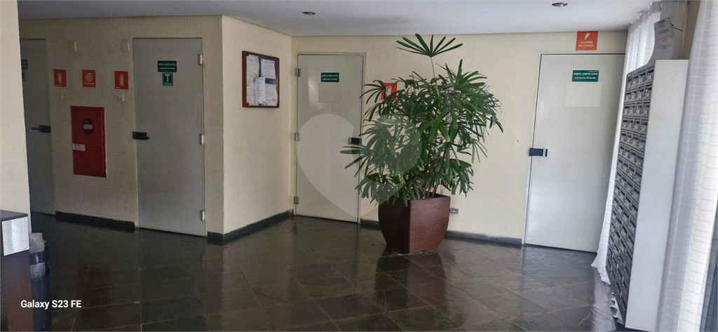 APARTAMENTO em MANDAQUI