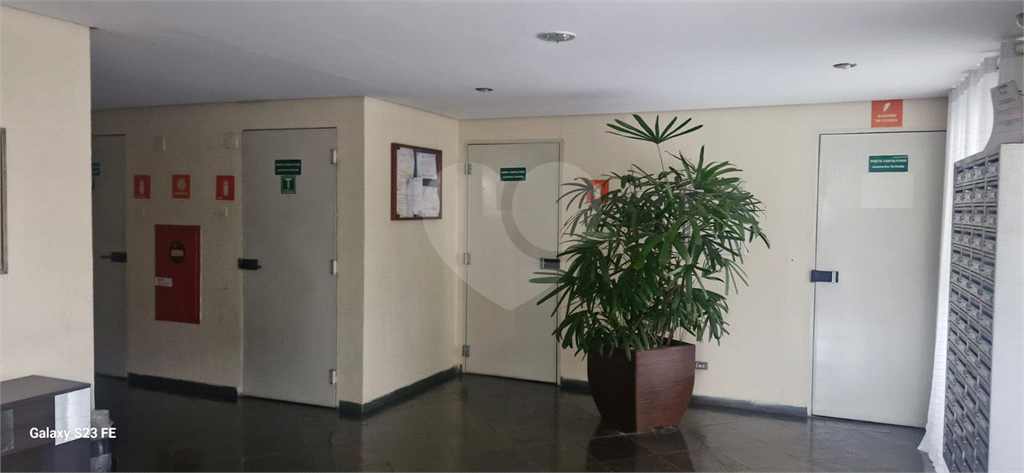 APARTAMENTO em MANDAQUI