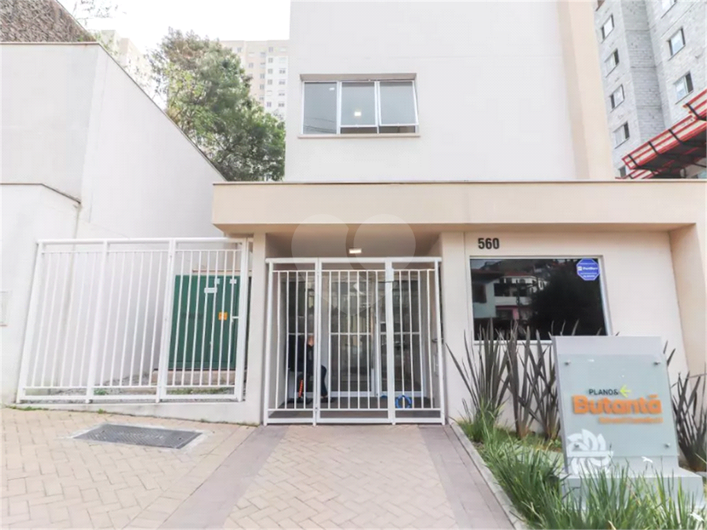 Apartamento So Paulo  Butant  