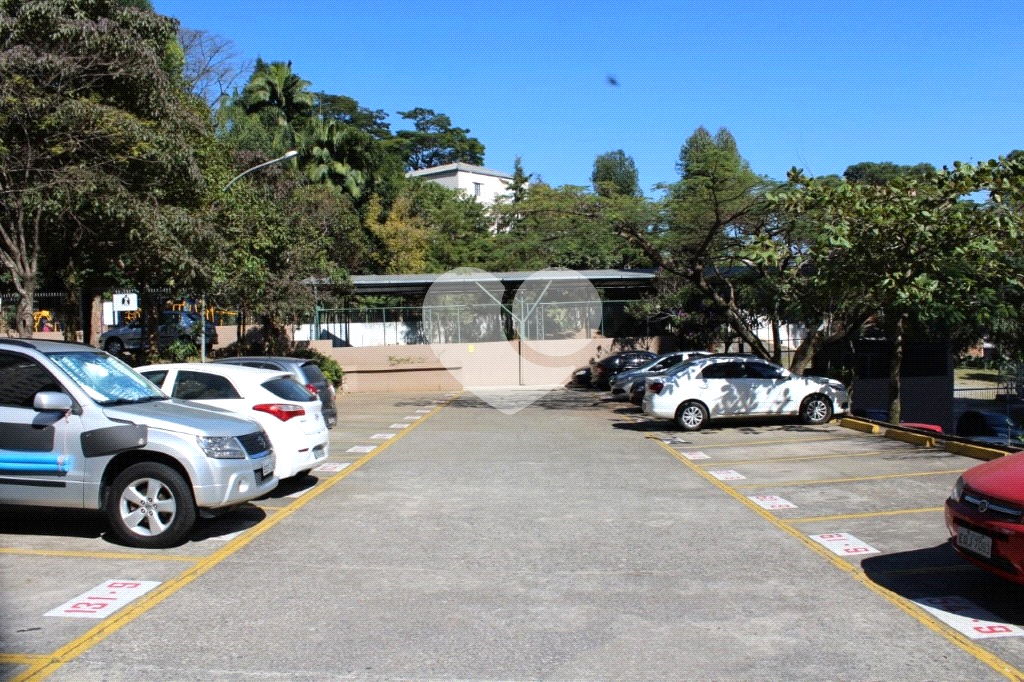APARTAMENTO em HORTO