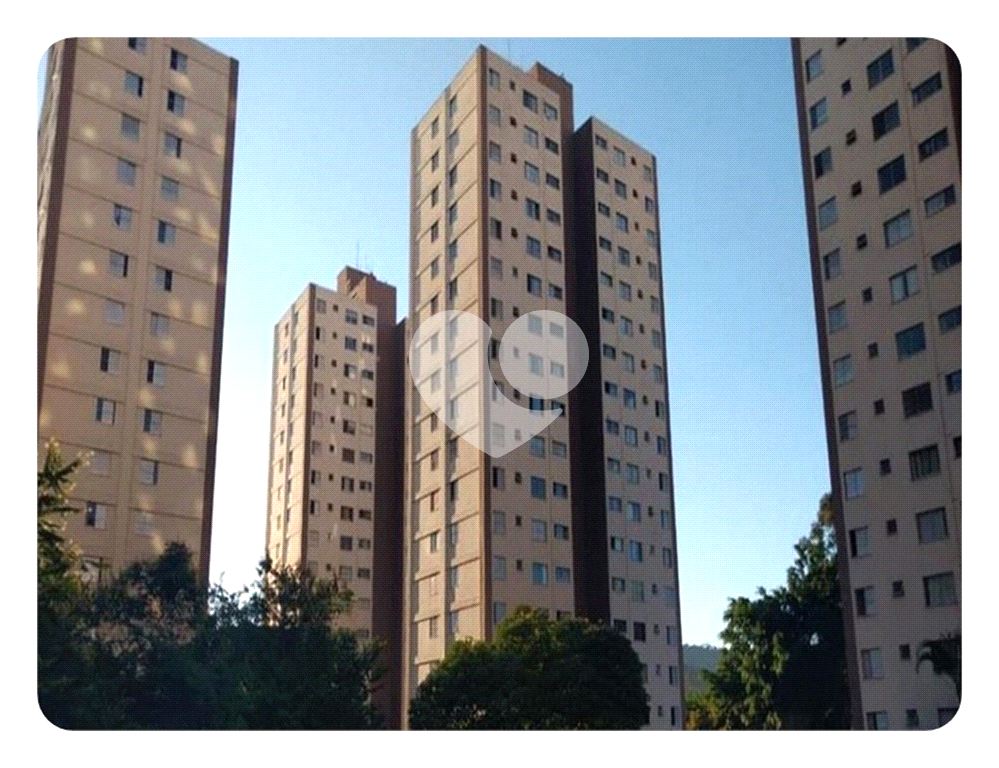 APARTAMENTO em HORTO