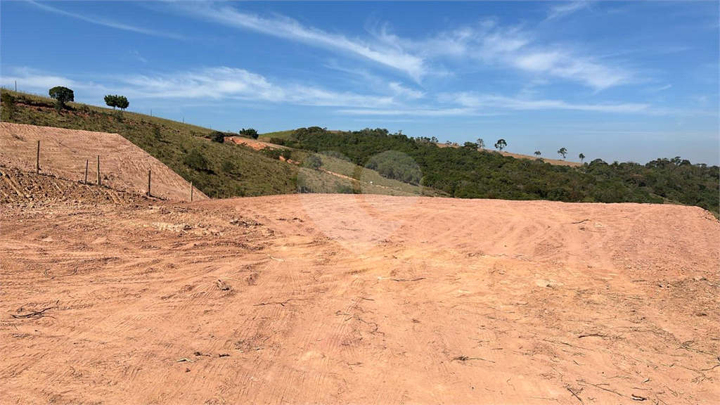 Terreno à venda e aluguel, 20000m² - Foto 12