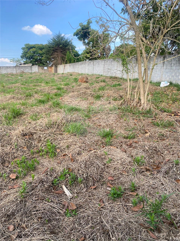 Terreno à venda, 1000m² - Foto 2