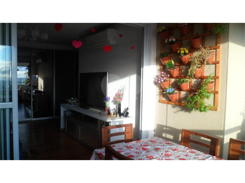 Apartamento 77 Metros, 1 Suíte,  2 Vagas  Alto de Santana