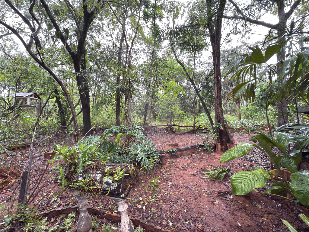 Fazenda à venda com 3 quartos, 178m² - Foto 21