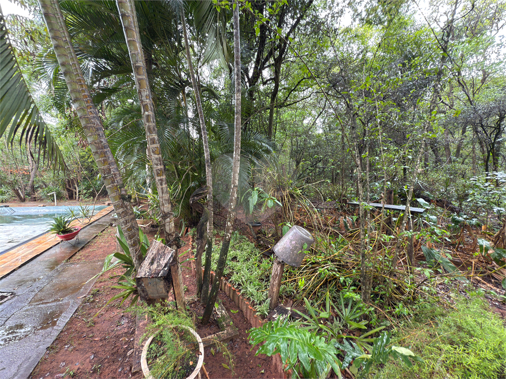 Fazenda à venda com 3 quartos, 178m² - Foto 22