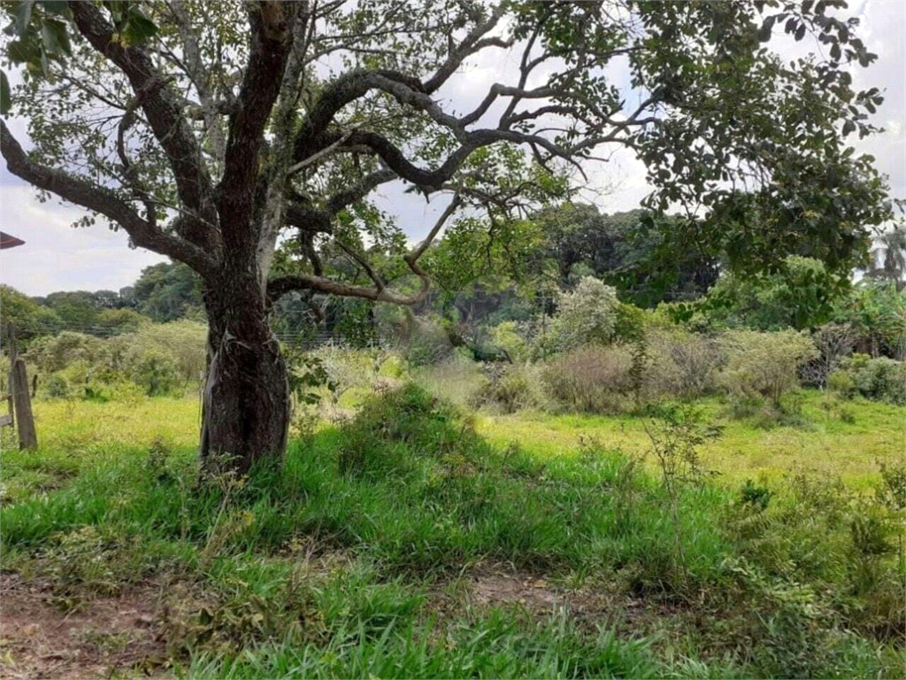 Terreno à venda, 40000m² - Foto 9