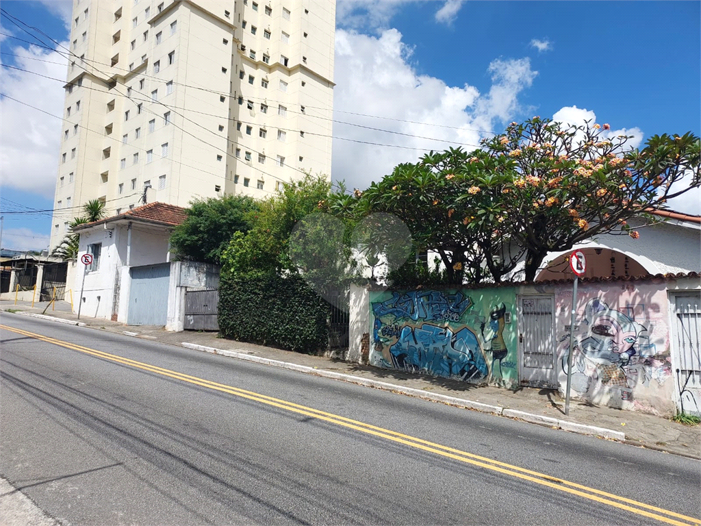 Terreno plano com 500 m² no Tucuruvi