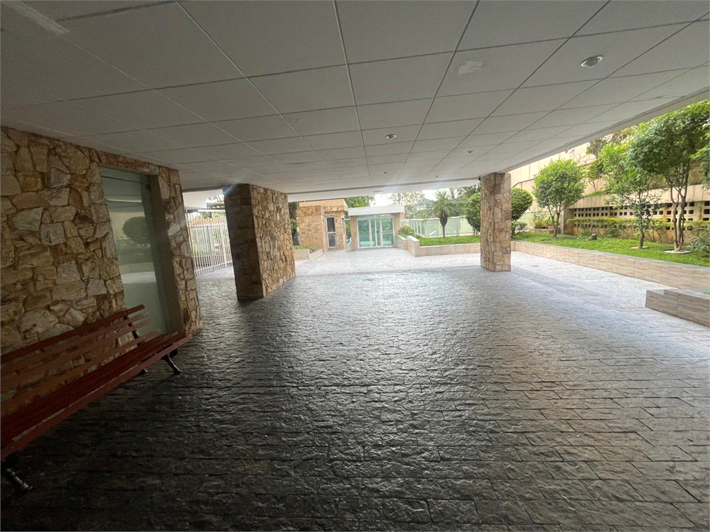 Apartamento - Venda - Tucuruvi