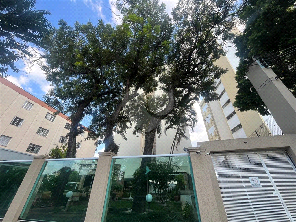 Apartamento - Venda - Tucuruvi