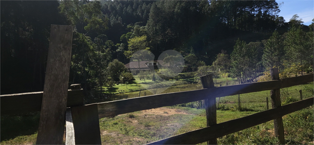 Sítio, 8 quartos, 31 hectares - Foto 28