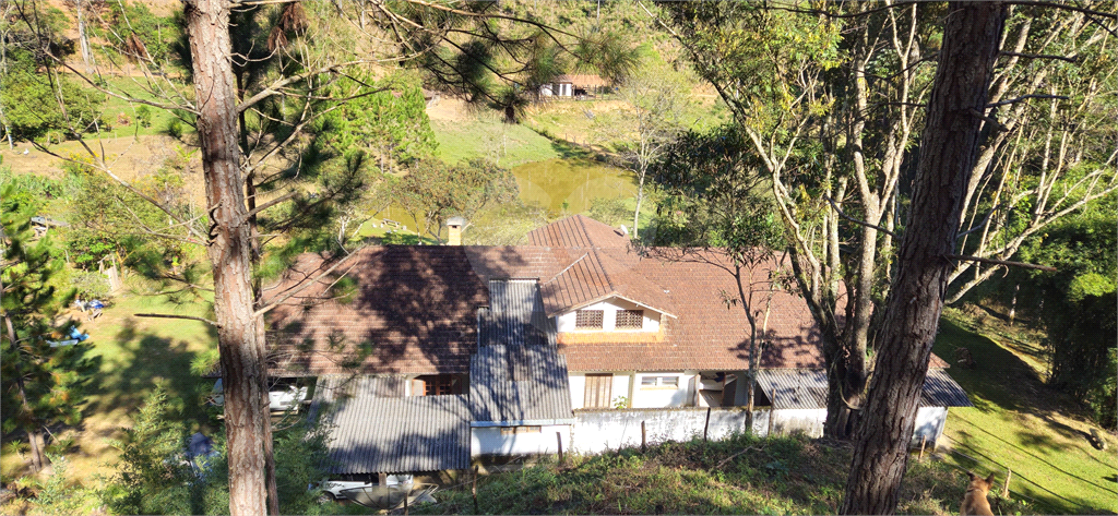 Sítio, 8 quartos, 31 hectares - Foto 35