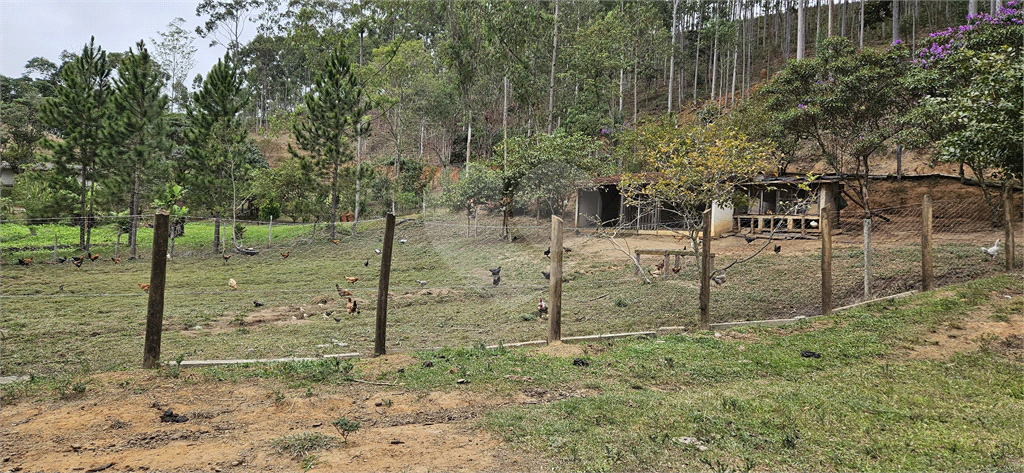 Sítio, 8 quartos, 31 hectares - Foto 47