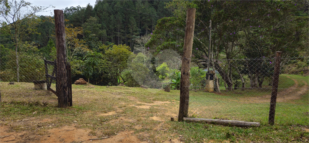 Sítio, 8 quartos, 31 hectares - Foto 42