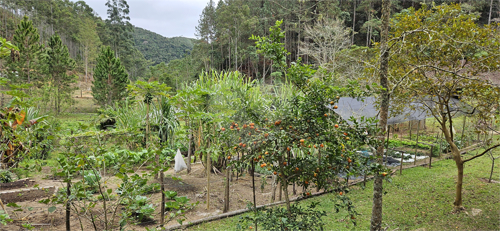 Sítio, 8 quartos, 31 hectares - Foto 52