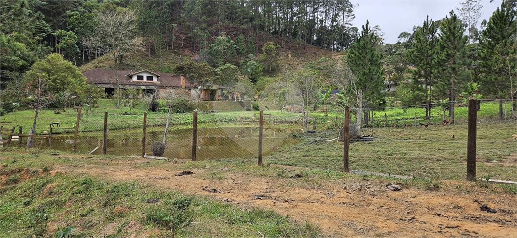 Sítio, 8 quartos, 31 hectares - Foto 46