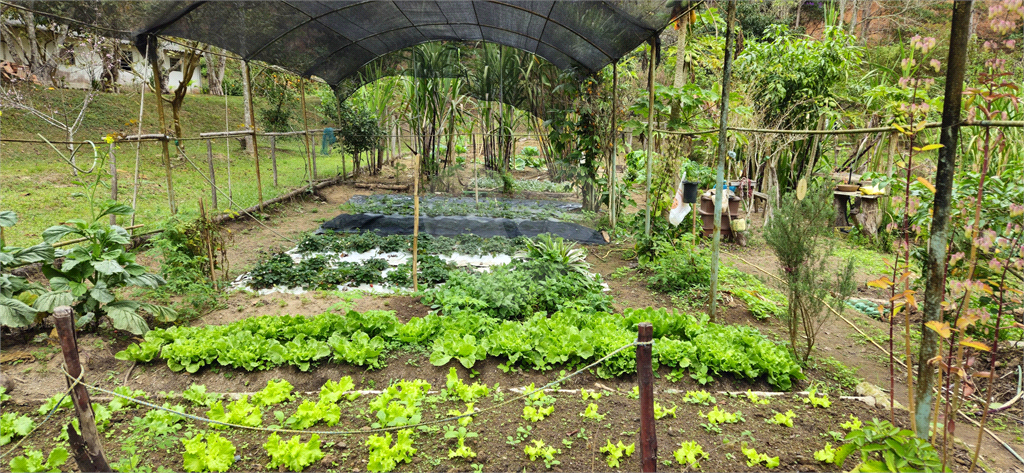 Sítio, 8 quartos, 31 hectares - Foto 54