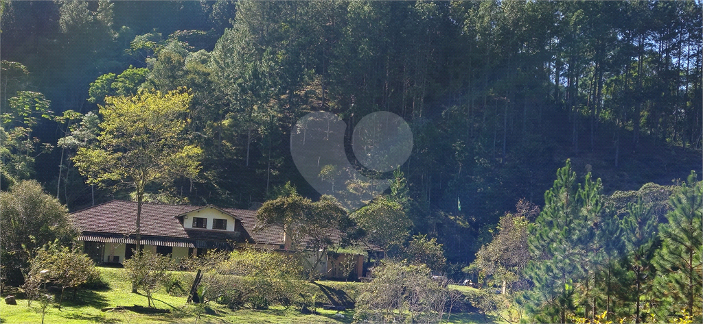 Sítio, 8 quartos, 31 hectares - Foto 31