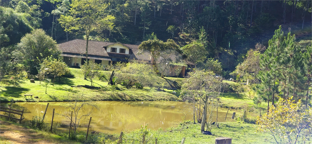 Sítio, 8 quartos, 31 hectares - Foto 5