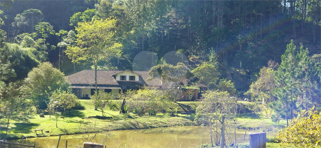 Sítio, 8 quartos, 31 hectares - Foto 6