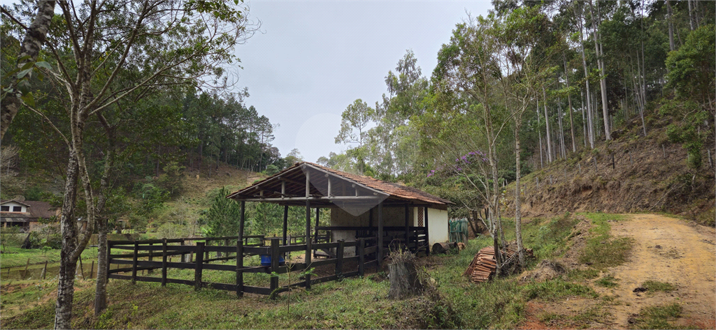 Sítio, 8 quartos, 31 hectares - Foto 49