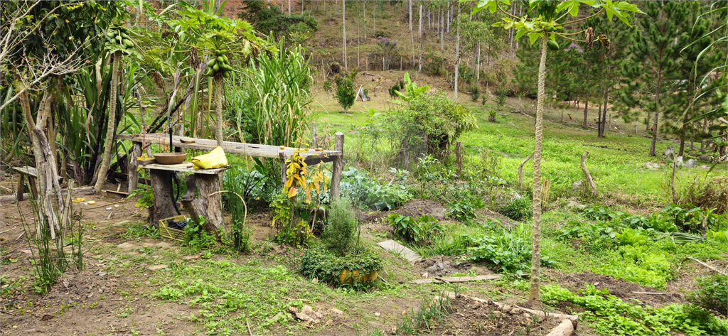 Sítio, 8 quartos, 31 hectares - Foto 55